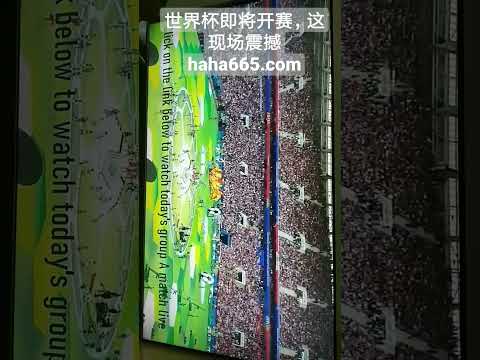 决战英冠,谢周三能否,逆袭,万博manbetx体育平台,万博体育官网,万博体育app下载,ManBetX,SPORTS